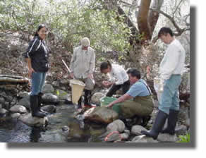 stream sampling