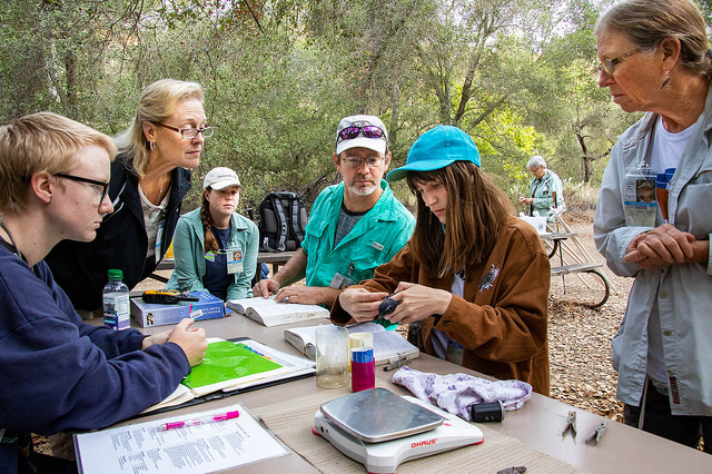 Starr Ranch Bird Observatory (SRBO) – Starr Ranch Sanctuary